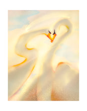 Load image into Gallery viewer, ‘SWANS AT DAWN’ 2025

